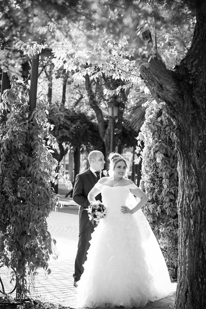 fotosboda065